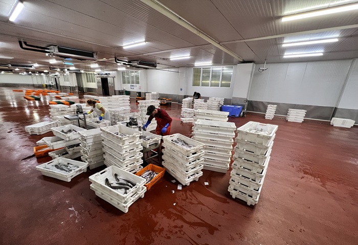 La Autoridad Portuaria traslada a los usuarios de lonja un manual de buenas prácticas