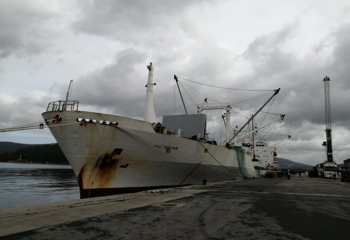 Se intensifica la campaña de descargas de pesca congelada  con la descarga de 5 buques