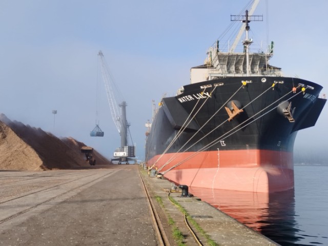 El puerto registró su mejor marca histórica en el balance anual de mercancías durante 2024