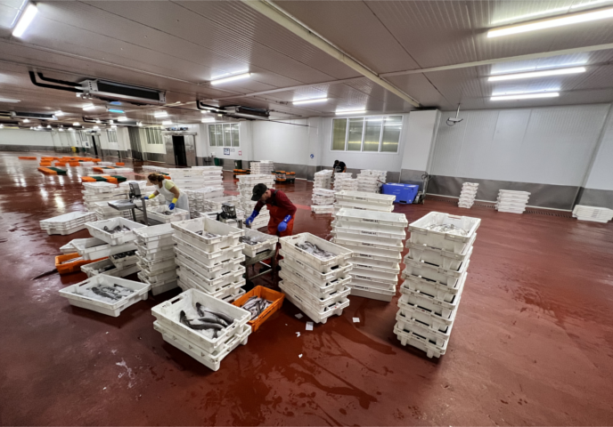 La Autoridad Portuaria licita la renovación de la cubierta de la lonja