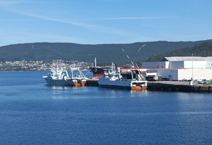 Comeza a campaña de descargas de pesca conxelada de Malvinas